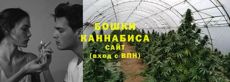 МАРИХУАНА OG Kush  продажа наркотиков  ссылка на мегу ссылки  Куртамыш 